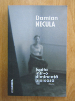 Damian Necula - Ispita intr-o dimineata ploioasa