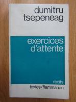 Dumitru Tepeneag - Exercices d'attente