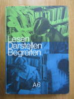 Lesen Darstellen Begreifen. Lese-und Arbeitsbuch A6