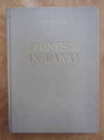 Ion Iliescu - Eminescu in Banat