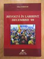 Mihai Babitchi - Revolta in labirint. Decembrie 1989