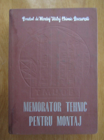 Panait Ionescu - Memorator tehnic pentru montaj (volumul 2)