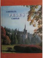 Anticariat: Castelul Peles / Peles castle