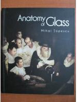 Mihai Topescu - Anatomy of glass