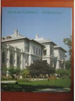 Niculae Vladescu - Palatul Cotroceni / Cotroceni palace