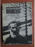 Anticariat: Omagiu lui Brancusi