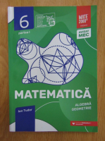 Anticariat: Ion Tudor - Matematica, algebra, geometrie. Caiet de lucru, clasa a VI-a, partea I