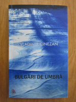 Anticariat: Vladimir Cinezan - Bulgari de umbra (cu autograful autorului)
