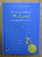 Carnet de insemnari. Cele mai frumoase citate din Micul print de Antoine de Saint-Exupery