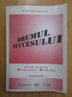 Drumul succesului