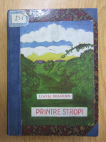 Liviu Marian - Printre stropi