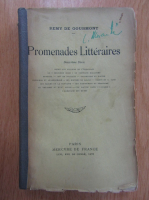 Remy de Gourmont - Promenades Litteraires (volumul 10)