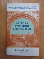 Suceava cetate moderna a unei epoci de aur