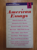 Charles B. Shaw - American Essays