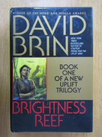 David Brin - Brightness Reef