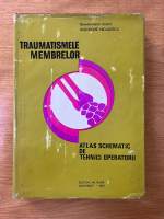 Gheorghe Niculescu - Traumatismele membrelor