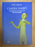 Petru Ursache - Camera Sambo
