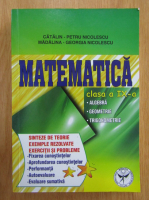 Catalin Petru Nicolescu - Matematica. Clasa a IX-a