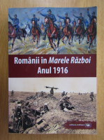 Anticariat: Mihail E. Ionescu - Romanii in Marele Razboi. Anul 1916