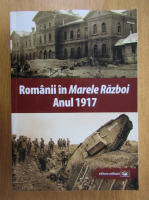 Mihail E. Ionescu - Romanii in Marele Razboi. Anul 1917