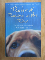 Garth Stein - The Art of Racing in the Rain