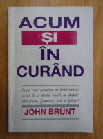 John Brunt - Acum si in curand