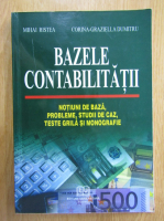 Mihai Ristea - Bazele contabilitatii