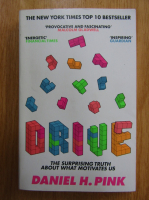 Daniel Pink - Drive. The Surprising Truth About What Motivates Us