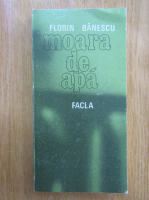 Florin Banescu - Moara de apa