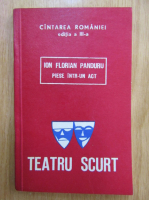 Ion Florian Panduru - Teatru scurt