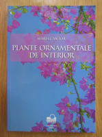Maria Cantor - Plante ornamentale de interior