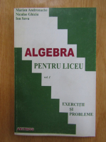 Marian Andronache - Algebra pentru liceu (volumul 1)