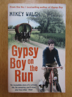 Anticariat: Mikey Walsh - Gypsy Boy on the Run