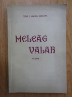 Petre C. Ionescu Doralean - Meleag valah