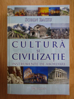 Sorin Baciu - Cultura si civilizatie