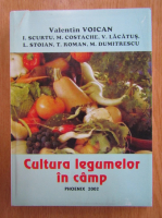 Valentin Voican - Cultura legumelor in camp