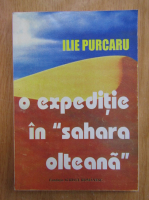 Ilie Purcaru - O expeditie in Sahara olteana