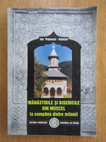 Anticariat: Ion Popescu Argesel - Manastirile si bisericile din Muscel la cumpana dintre milenii