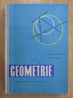 Laura Constantinescu - Geometrie. Clasa a IX-a