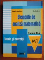 Camelia Dinulescu - Teorie si exercitii. Clasa a XI-a