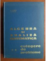 Anticariat: D. Flondor - Algebra si analiza matematica. Culegere de probleme (volumul 2)