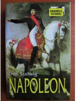 Anticariat: Emil Ludwig - Napoleon