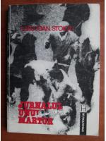 Liviu Ioan Stoiciu - Jurnalul unui martor (13-15 iunie 1990)