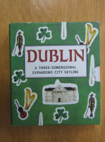 Dublin. A Three Dimensional Expanding City Skyline