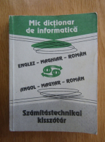 Mic dictionar de informatica, englez-maghiar-roman