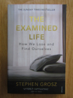 Anticariat: Stephen Grosz - The Examined Life. How We Lose and Find Ourselves