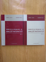 Dorel Duca, Eugenia Duca - Exercitii probleme de analiza matematica (2 volume)