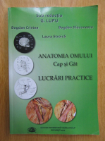 G. Lupu - Anatomia omului. Cap si gat. Lucrari practice