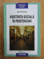 Ioan Durnescu - Asistenta sociala in penitenciar