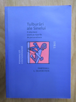 Anticariat: Marshall L. Silverstein - Tulburari ale Sinelui. O abordare axata pe tipurile de personalitate